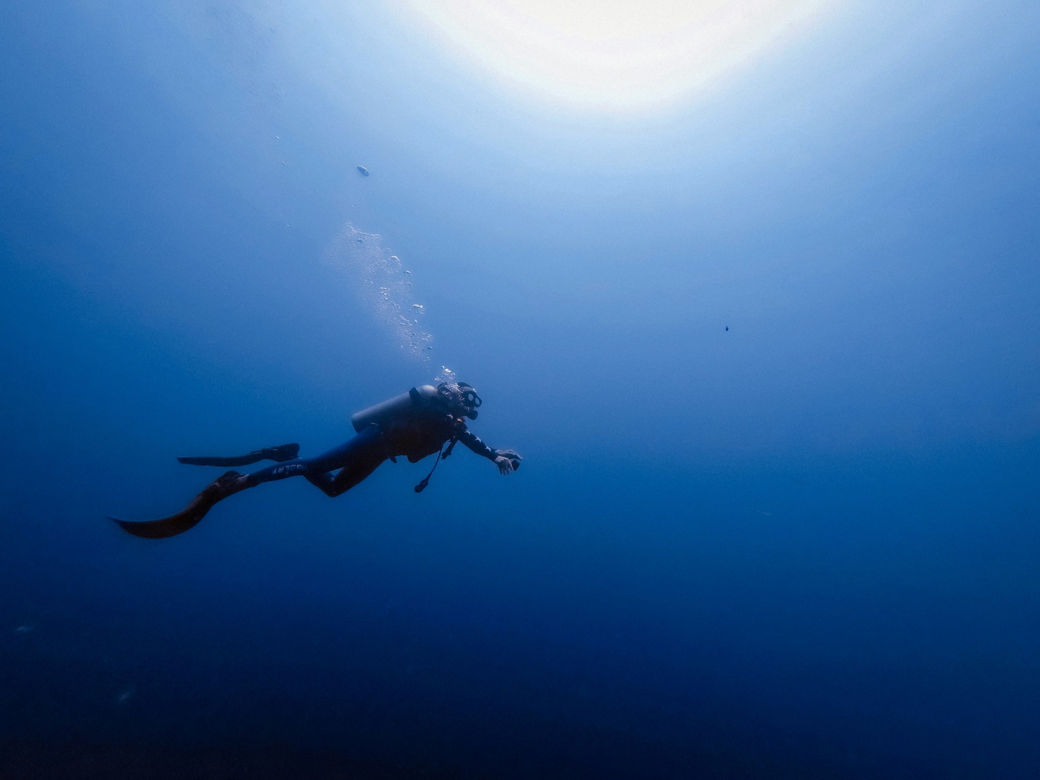 Diver in a full wetsuit with a tank and fins in the water.